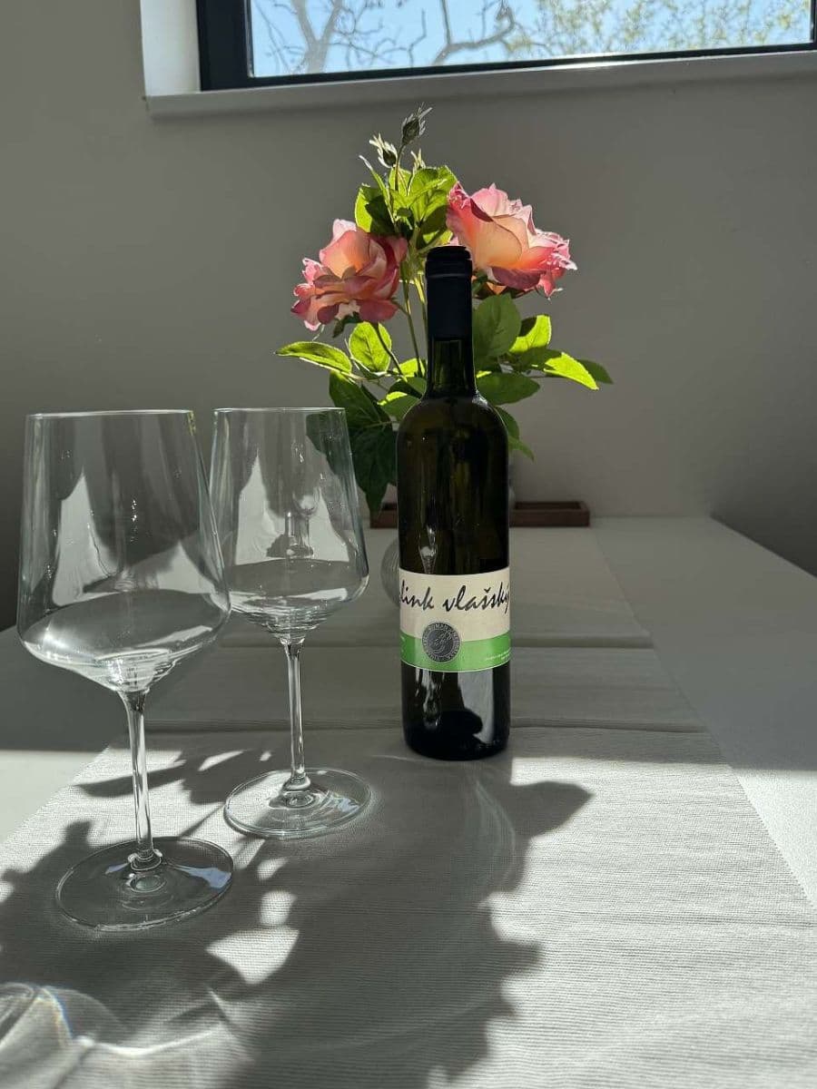 Prenájom rekreačného objektu, Šakvice, Jihomoravský kraj Prenájom rekreačného objektu, Šakvice, Jihomoravský kraj