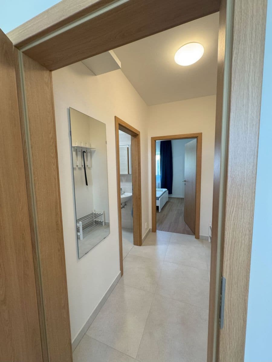 Prenájom bytu 2-izbový 55 m², Hřímalého, Plzeň, Plzeňský kraj Prenájom bytu 2-izbový 55 m², Hřímalého, Plzeň, Plzeňský kraj