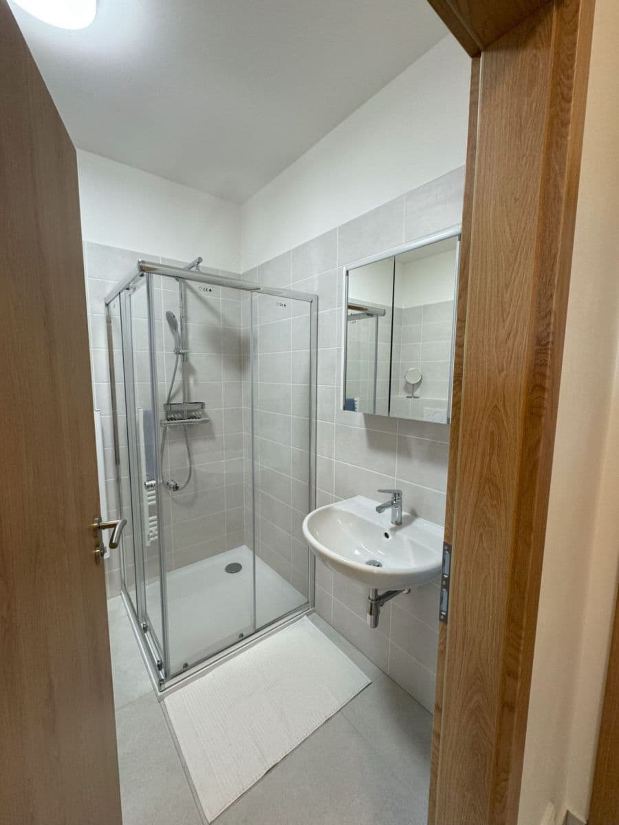 Prenájom bytu 2-izbový 55 m², Hřímalého, Plzeň, Plzeňský kraj Prenájom bytu 2-izbový 55 m², Hřímalého, Plzeň, Plzeňský kraj