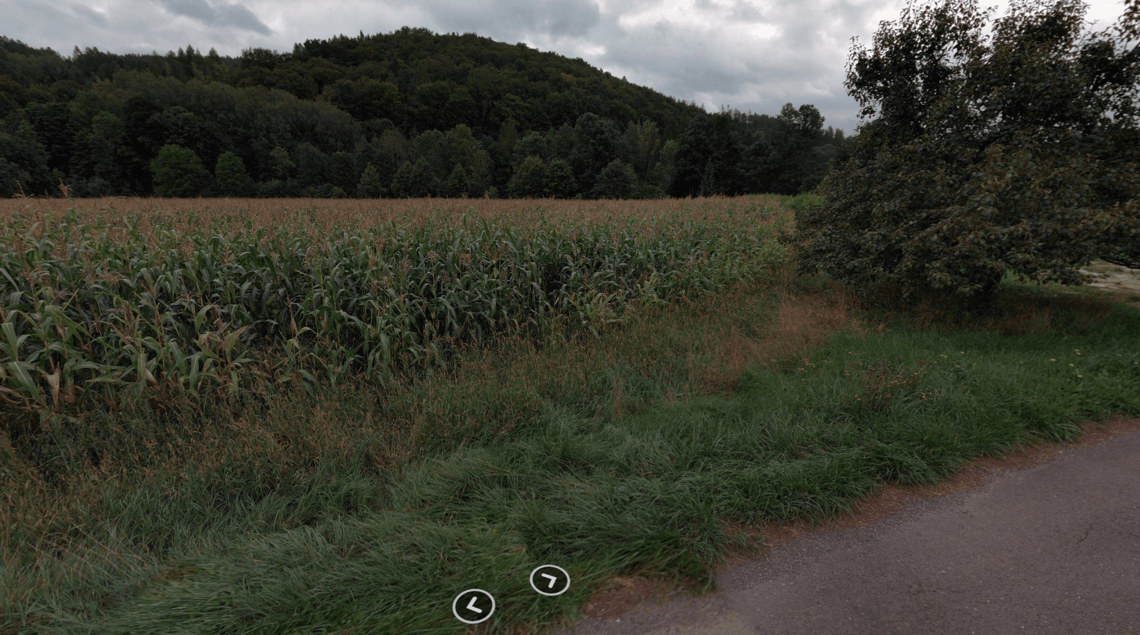 Predaj pozemku 13.396 m², Bohdíkov, Olomoucký kraj Predaj pozemku 13.396 m², Bohdíkov, Olomoucký kraj