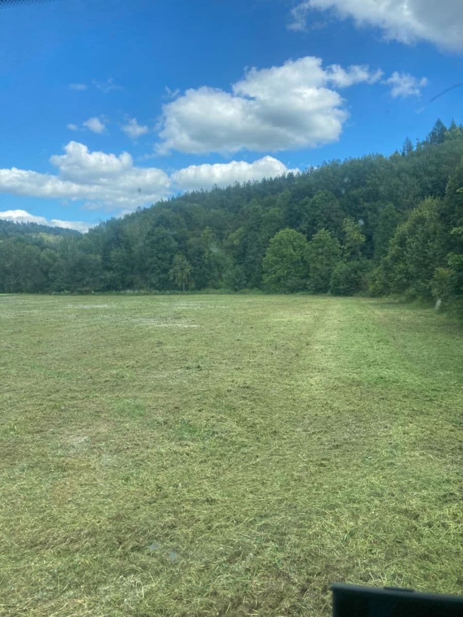 Predaj pozemku 13.396 m², Bohdíkov, Olomoucký kraj Predaj pozemku 13.396 m², Bohdíkov, Olomoucký kraj