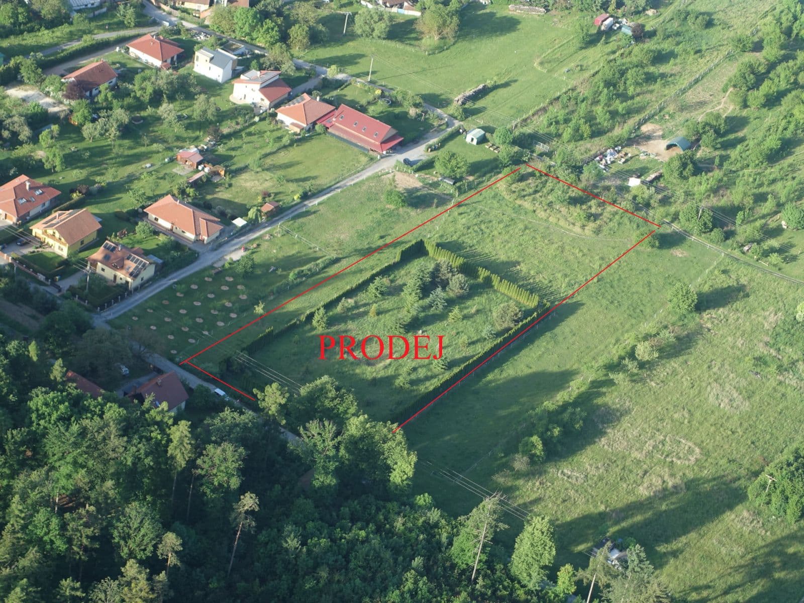 Predaj pozemku 10.000 m², Babice nad Svitavou, Jihomoravský kraj Predaj pozemku 10.000 m², Babice nad Svitavou, Jihomoravský kraj