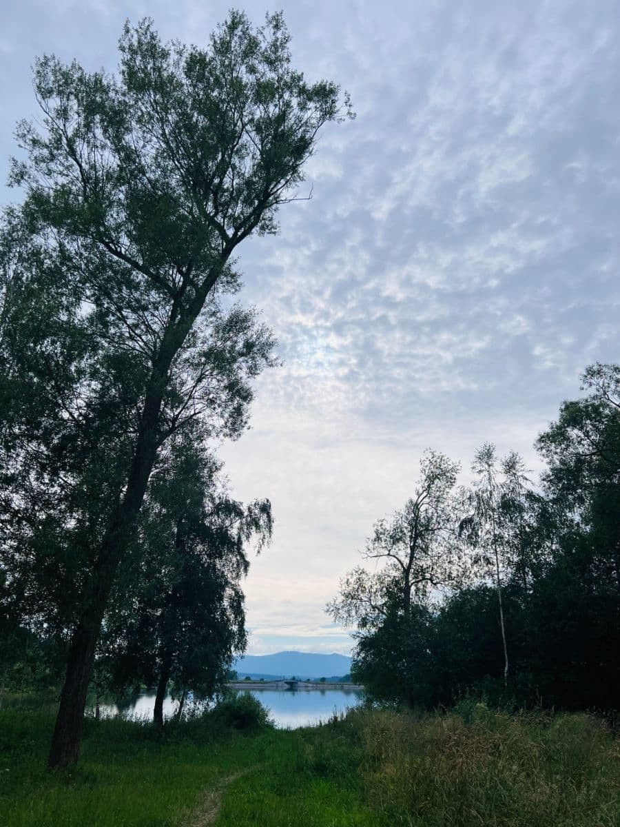 Predaj bytu 1-izbový 19 m², Černá v Pošumaví, Jihočeský kraj Predaj bytu 1-izbový 19 m², Černá v Pošumaví, Jihočeský kraj