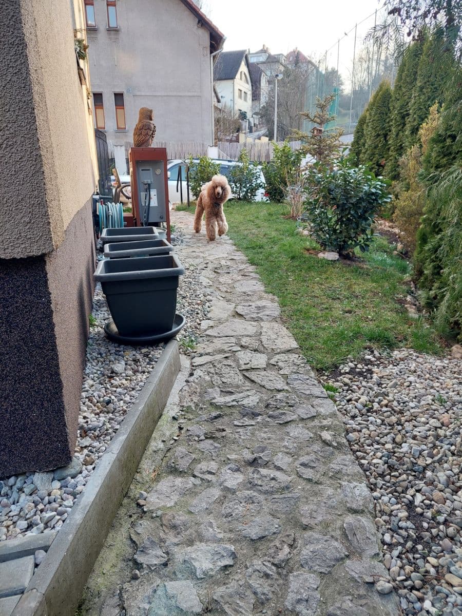 Predaj domu 250 m², pozemek 600 m², Pod Žvahovem, Praha, Praha Predaj domu 250 m², pozemek 600 m², Pod Žvahovem, Praha, Praha