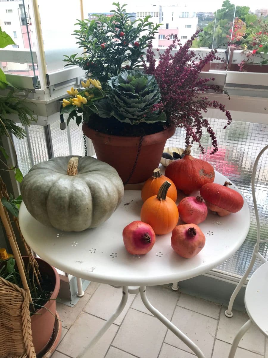 Predaj bytu 3-izbový 77 m², Volutová, Praha, Praha Predaj bytu 3-izbový 77 m², Volutová, Praha, Praha