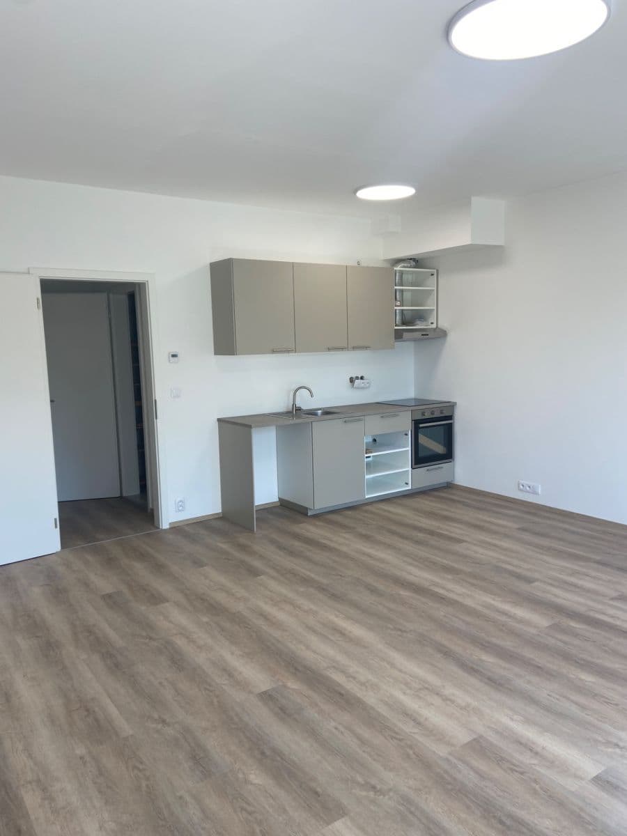 Prenájom bytu 1-izbový 41 m², Škrochova, Brno, Jihomoravský kraj Prenájom bytu 1-izbový 41 m², Škrochova, Brno, Jihomoravský kraj