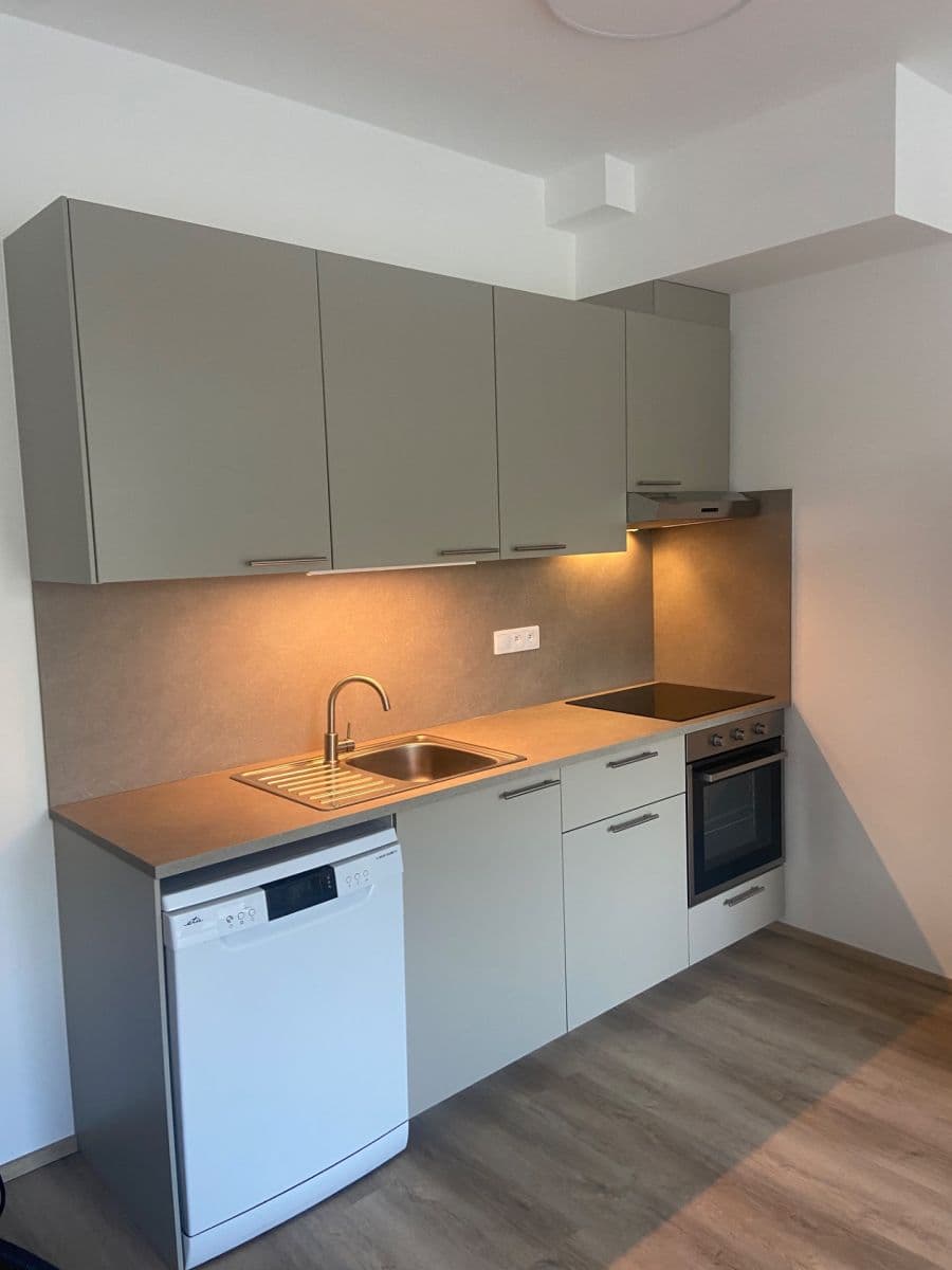 Prenájom bytu 1-izbový 41 m², Škrochova, Brno, Jihomoravský kraj Prenájom bytu 1-izbový 41 m², Škrochova, Brno, Jihomoravský kraj