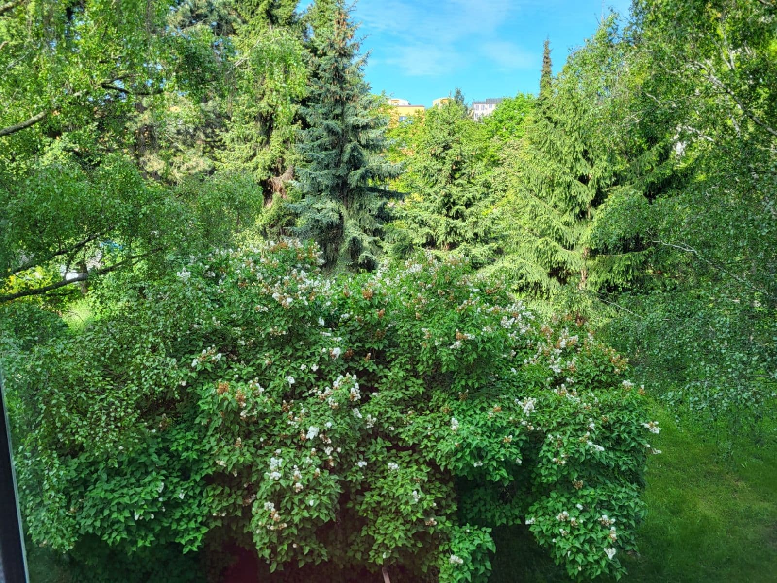 Prenájom bytu 2-izbový 53 m², Šumperská, Praha, Praha Prenájom bytu 2-izbový 53 m², Šumperská, Praha, Praha