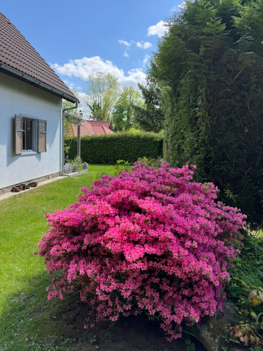 Predaj rekreačného objektu 72 m², pozemek 831 m², Borotín, Jihočeský kraj Predaj rekreačného objektu 72 m², pozemek 831 m², Borotín, Jihočeský kraj