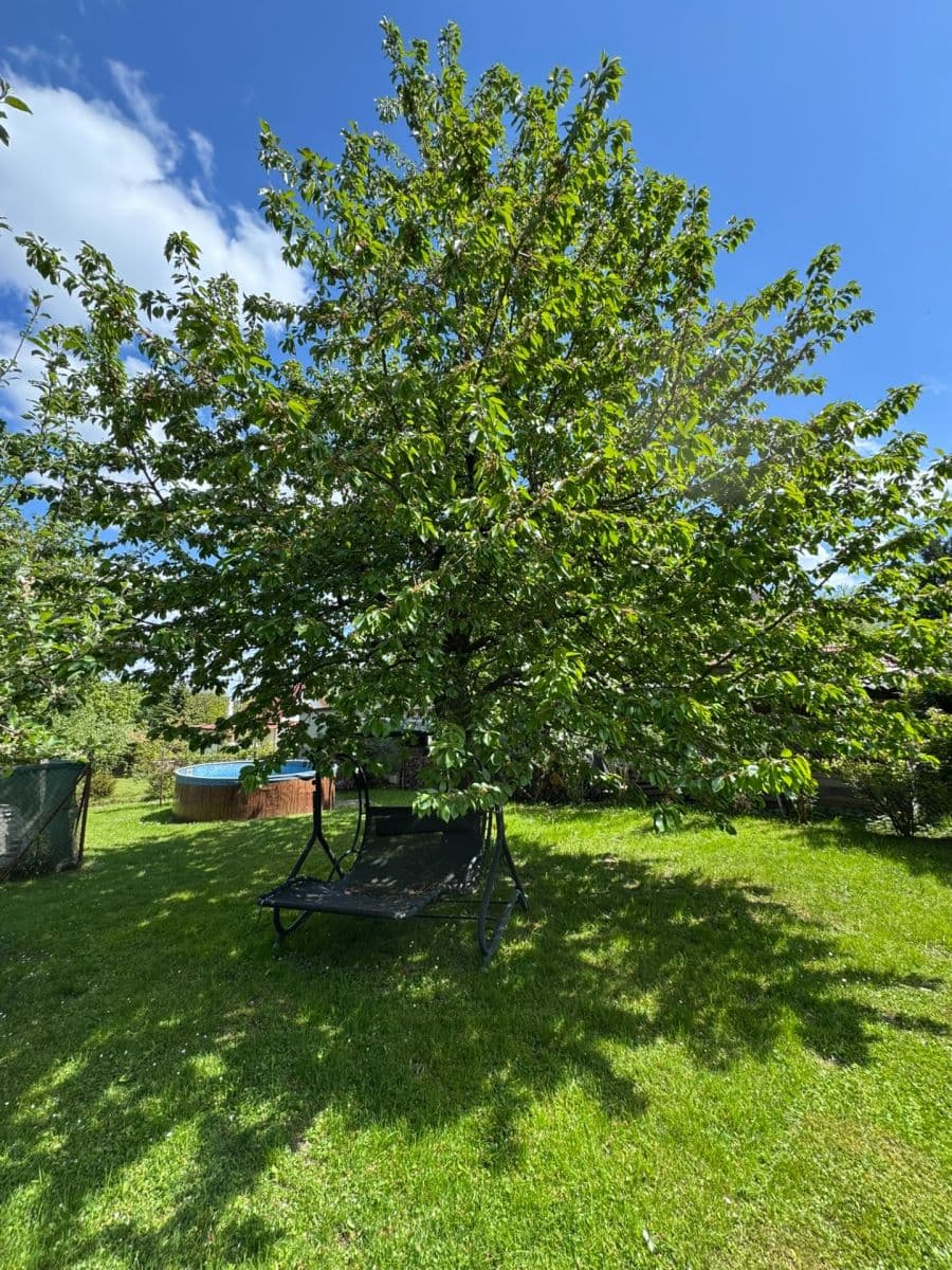 Predaj rekreačného objektu 72 m², pozemek 831 m², Borotín, Jihočeský kraj Predaj rekreačného objektu 72 m², pozemek 831 m², Borotín, Jihočeský kraj