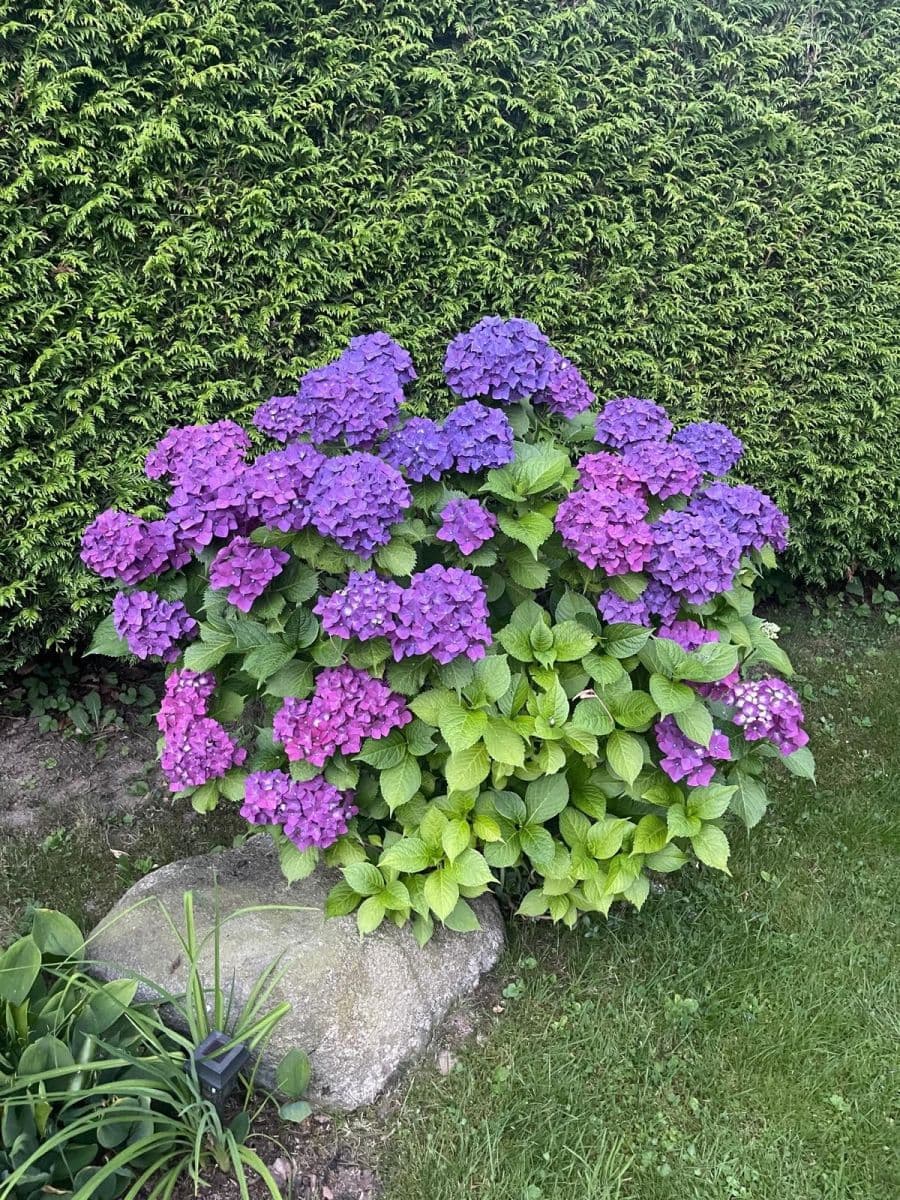 Predaj rekreačného objektu 72 m², pozemek 831 m², Borotín, Jihočeský kraj Predaj rekreačného objektu 72 m², pozemek 831 m², Borotín, Jihočeský kraj