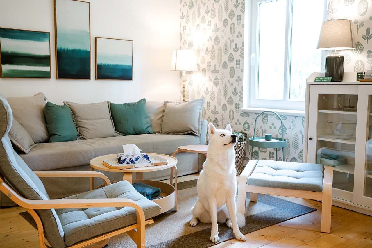 Prenájom rekreačného objektu, Křečovice, Středočeský kraj Prenájom rekreačného objektu, Křečovice, Středočeský kraj