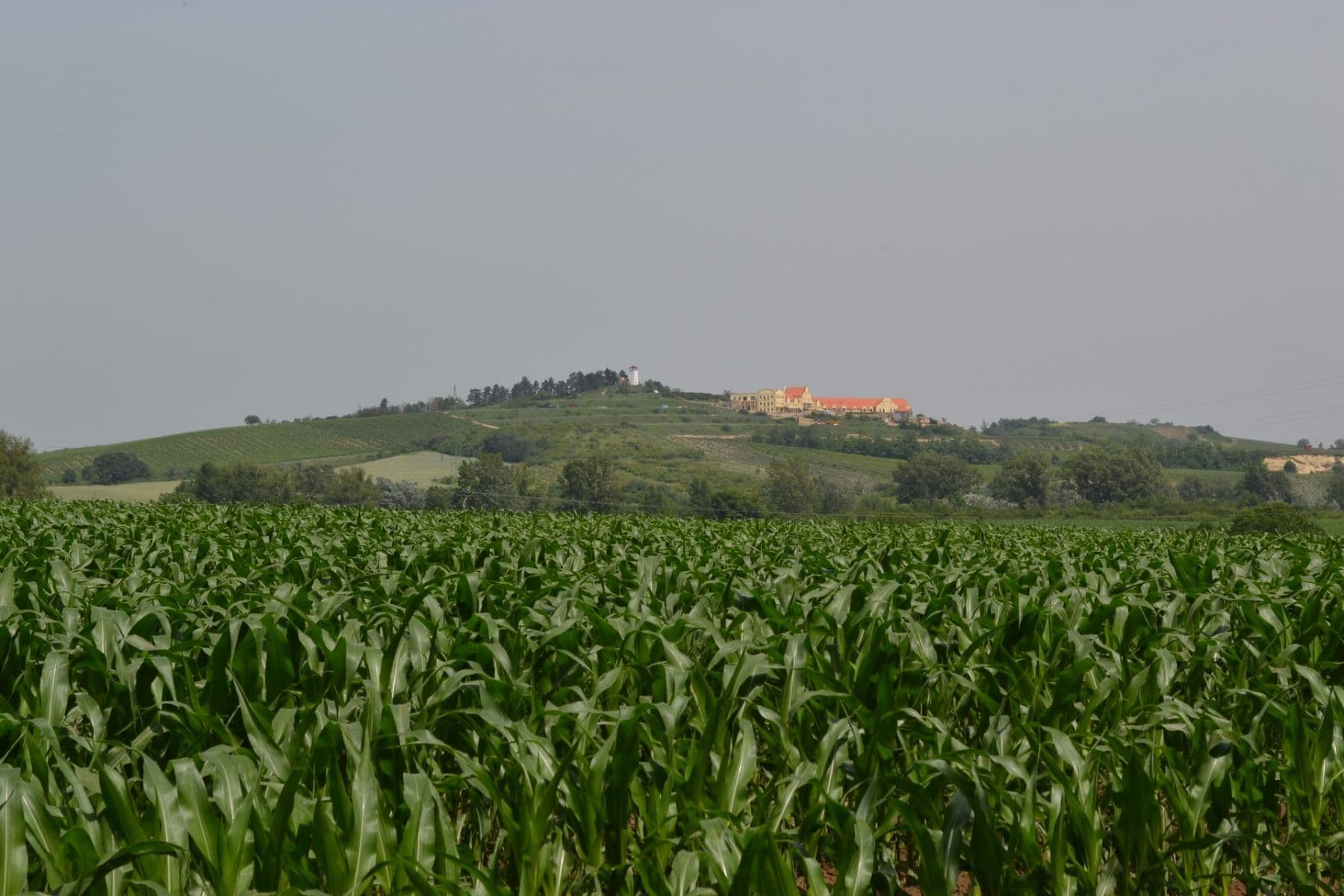 Predaj rekreačného objektu 30 m², pozemek 200 m², Přítluky, Jihomoravský kraj Predaj rekreačného objektu 30 m², pozemek 200 m², Přítluky, Jihomoravský kraj