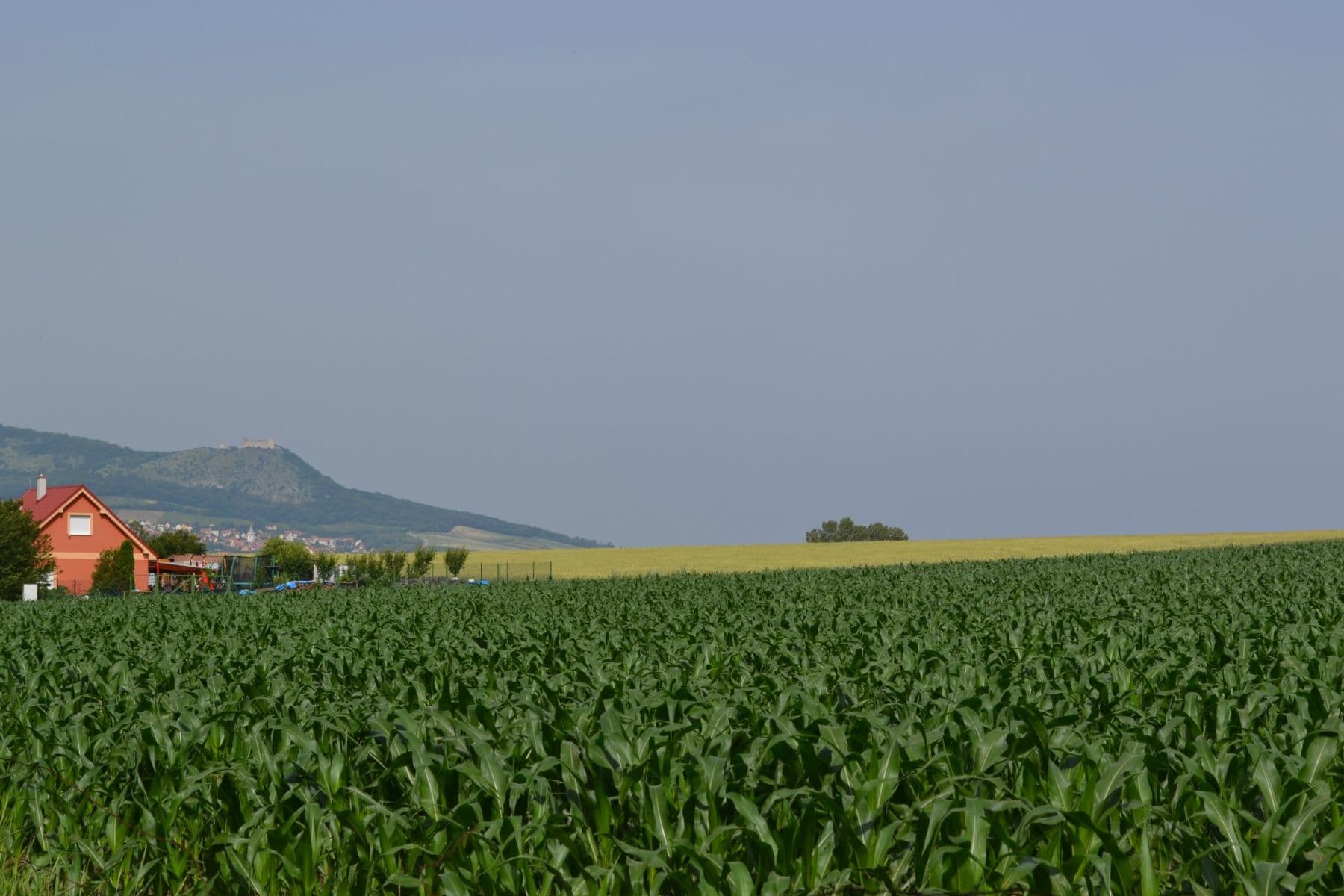 Predaj rekreačného objektu 30 m², pozemek 200 m², Přítluky, Jihomoravský kraj Predaj rekreačného objektu 30 m², pozemek 200 m², Přítluky, Jihomoravský kraj