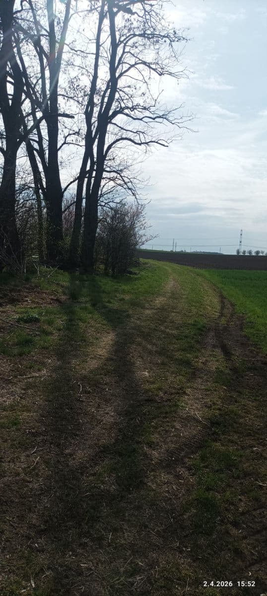 Prenájom pozemku 420 m², Sokolnice, Jihomoravský kraj Prenájom pozemku 420 m², Sokolnice, Jihomoravský kraj