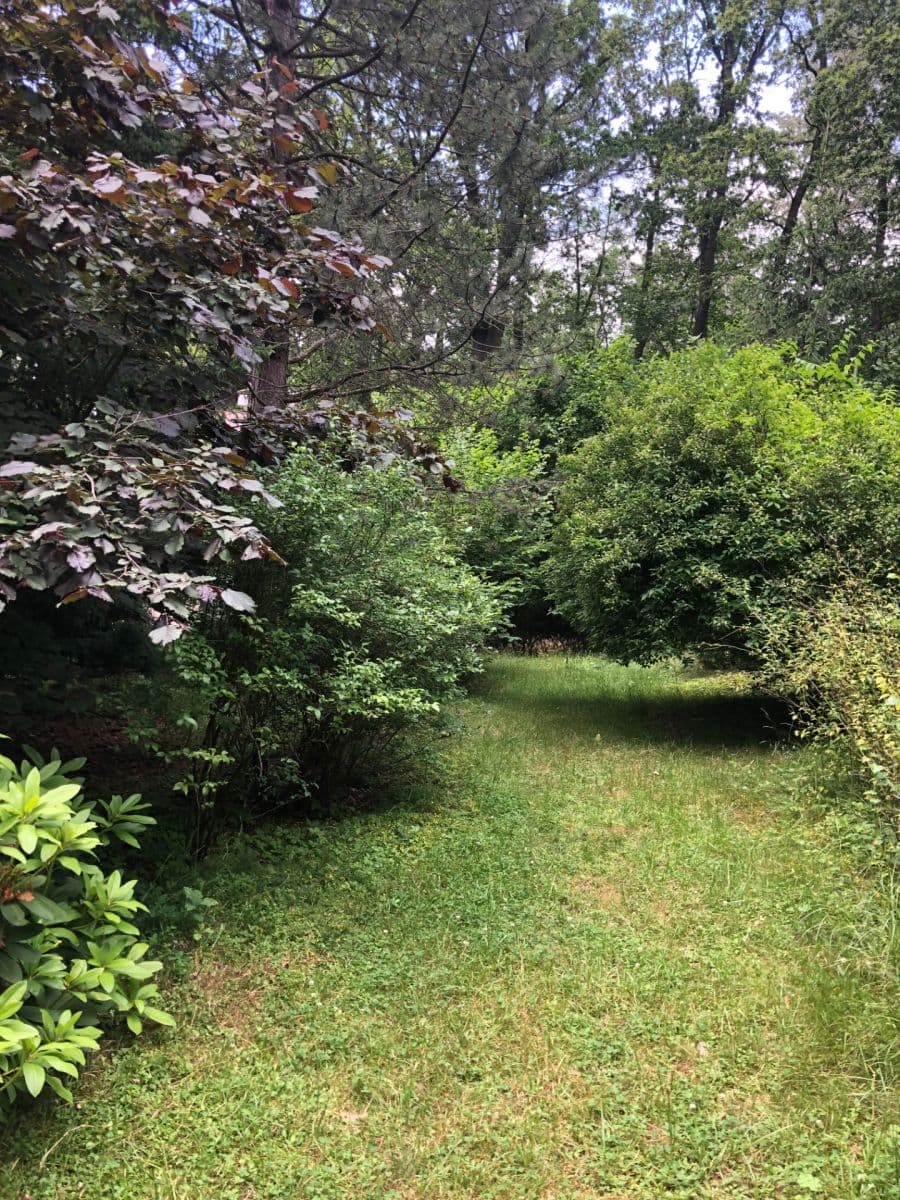 Predaj rekreačného objektu 27 m², pozemek 3.618 m², Votice, Středočeský kraj Predaj rekreačného objektu 27 m², pozemek 3.618 m², Votice, Středočeský kraj