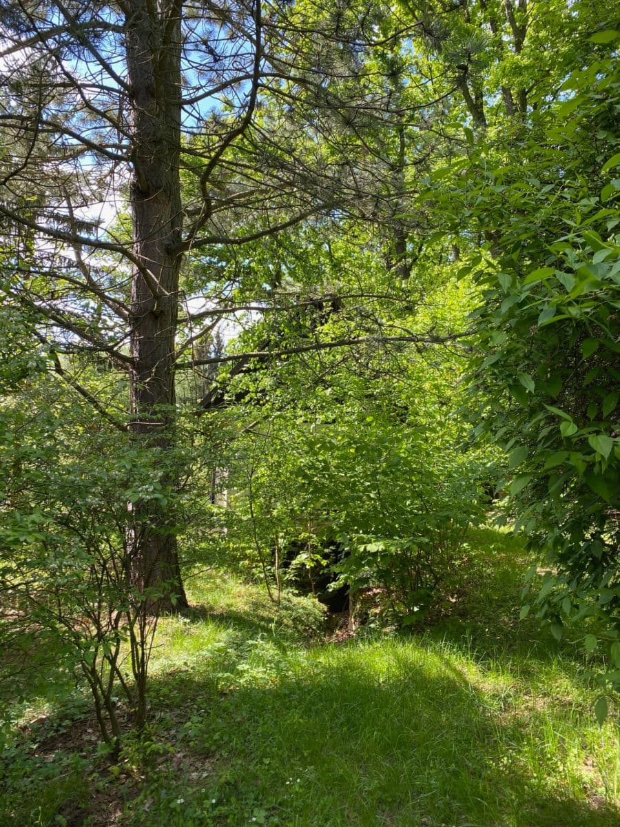 Predaj rekreačného objektu 27 m², pozemek 3.618 m², Votice, Středočeský kraj Predaj rekreačného objektu 27 m², pozemek 3.618 m², Votice, Středočeský kraj