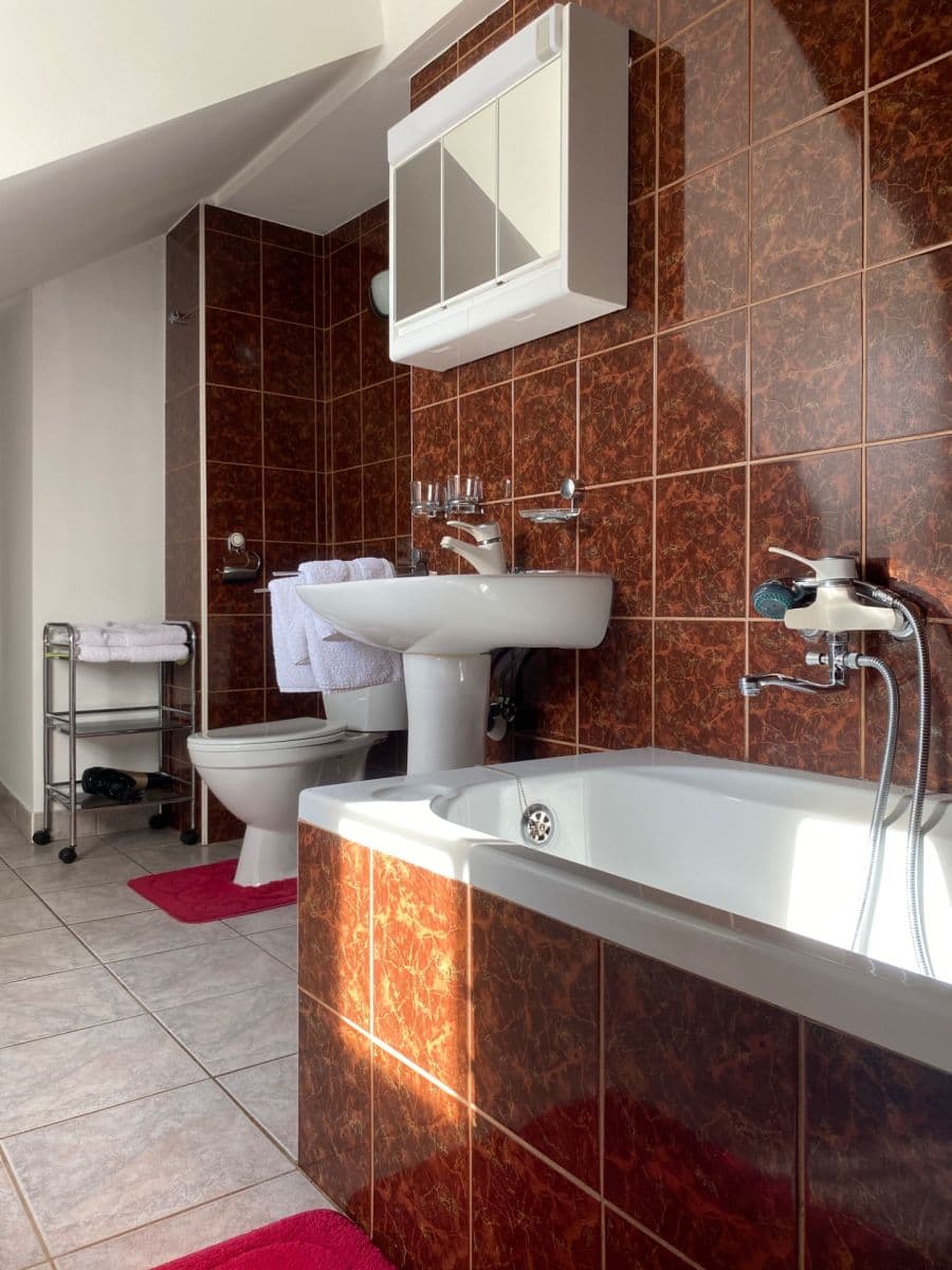 Prenájom bytu 1-izbový 40 m², Hradební, Tábor, Jihočeský kraj Prenájom bytu 1-izbový 40 m², Hradební, Tábor, Jihočeský kraj