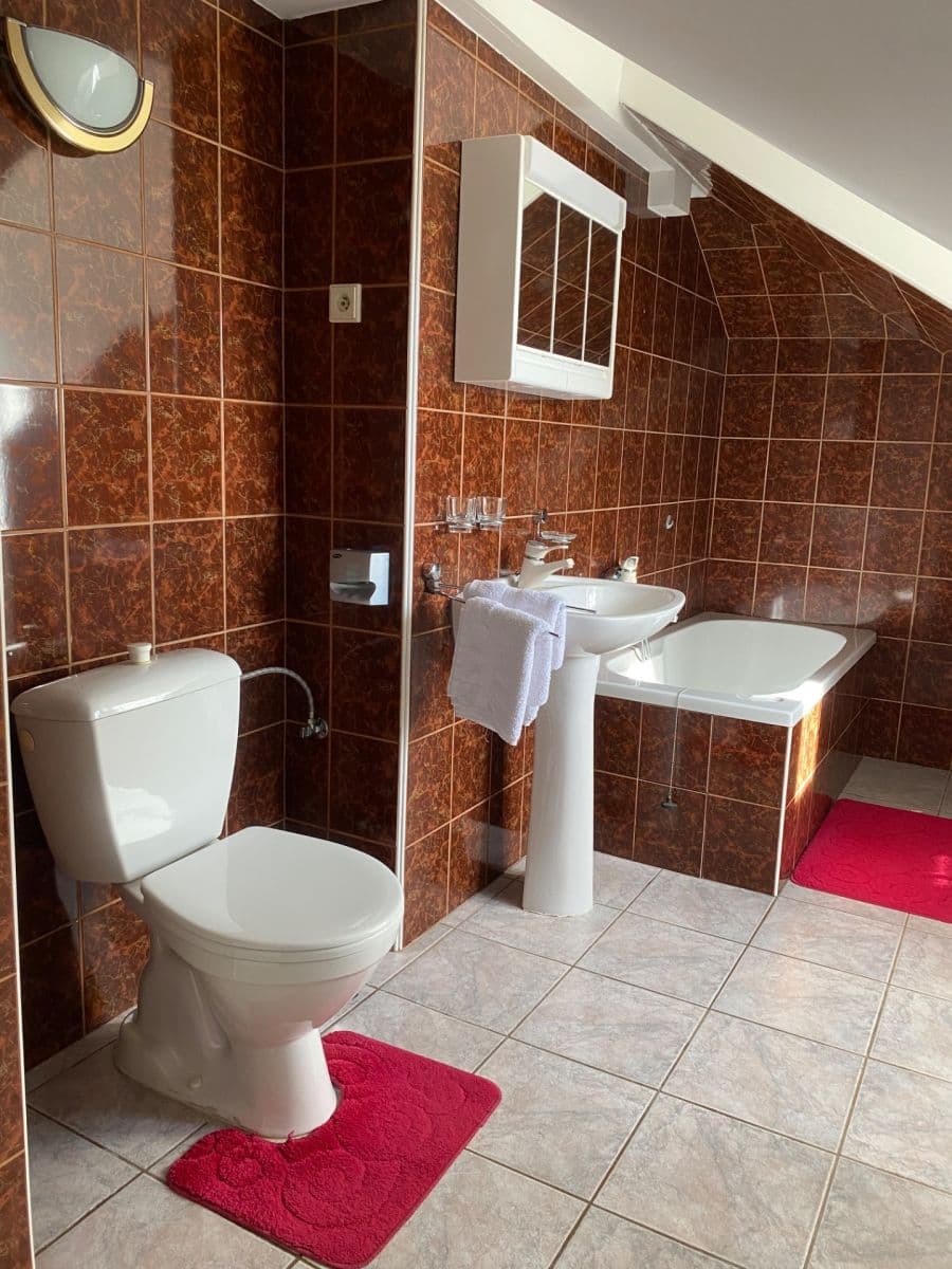 Prenájom bytu 1-izbový 40 m², Hradební, Tábor, Jihočeský kraj Prenájom bytu 1-izbový 40 m², Hradební, Tábor, Jihočeský kraj