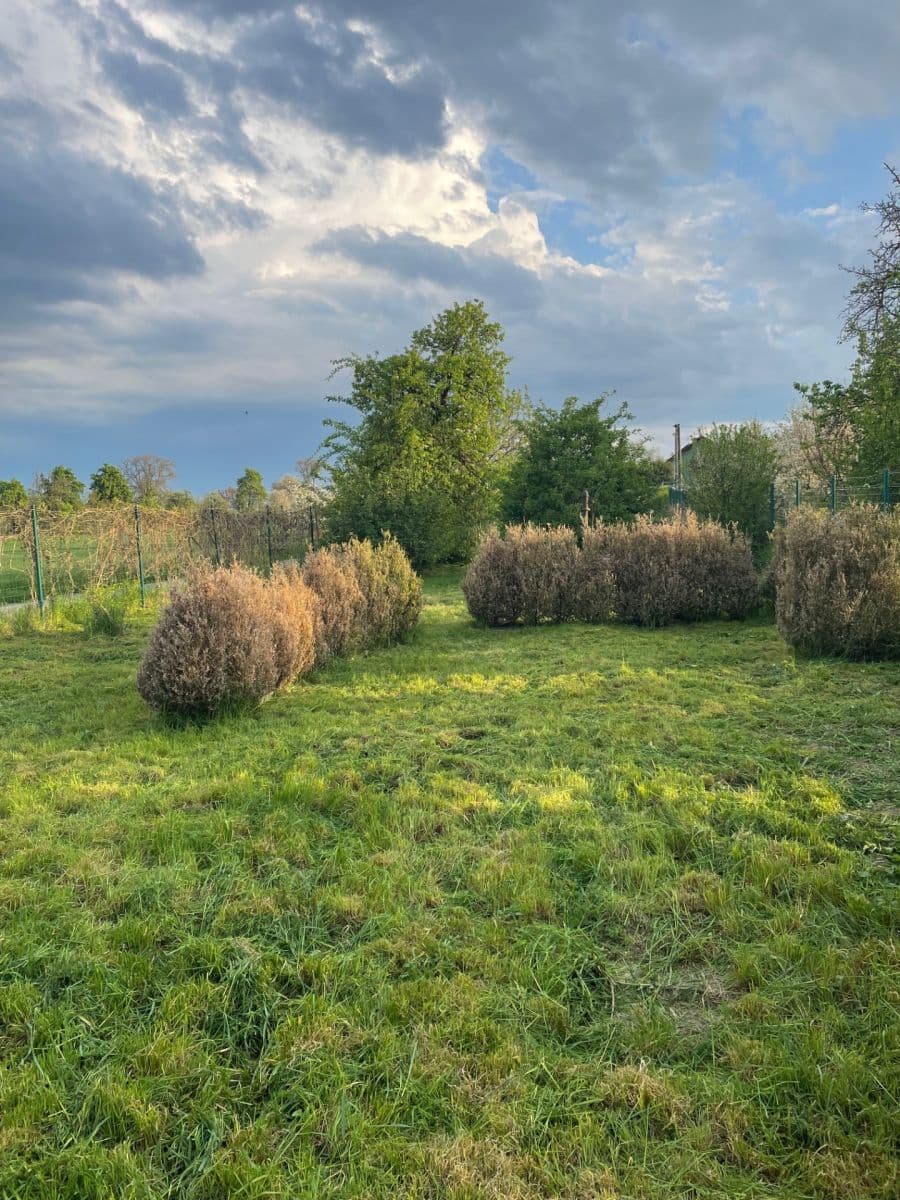 Prenájom pozemku 491 m², Lešany, Olomoucký kraj Prenájom pozemku 491 m², Lešany, Olomoucký kraj