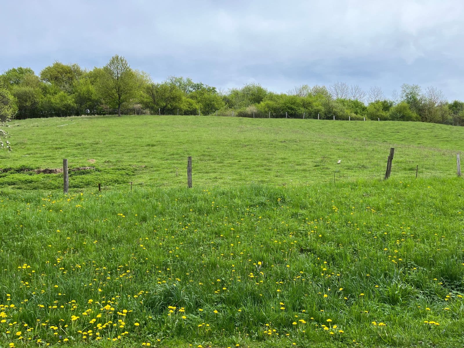 Predaj pozemku 2.010 m², V Drahách, Luhačovice, Zlínský kraj Predaj pozemku 2.010 m², V Drahách, Luhačovice, Zlínský kraj