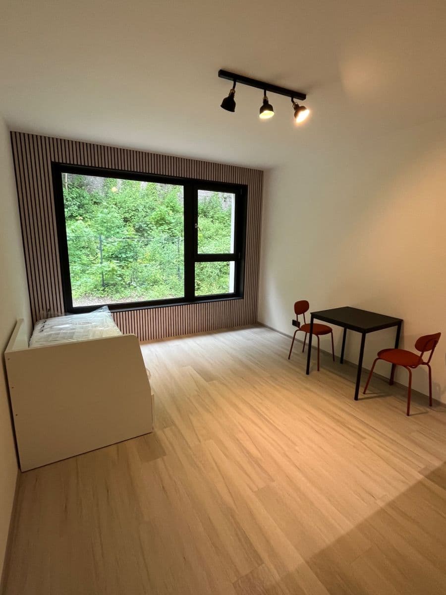 Prenájom bytu 1-izbový 26 m², Praha, Praha Prenájom bytu 1-izbový 26 m², Praha, Praha