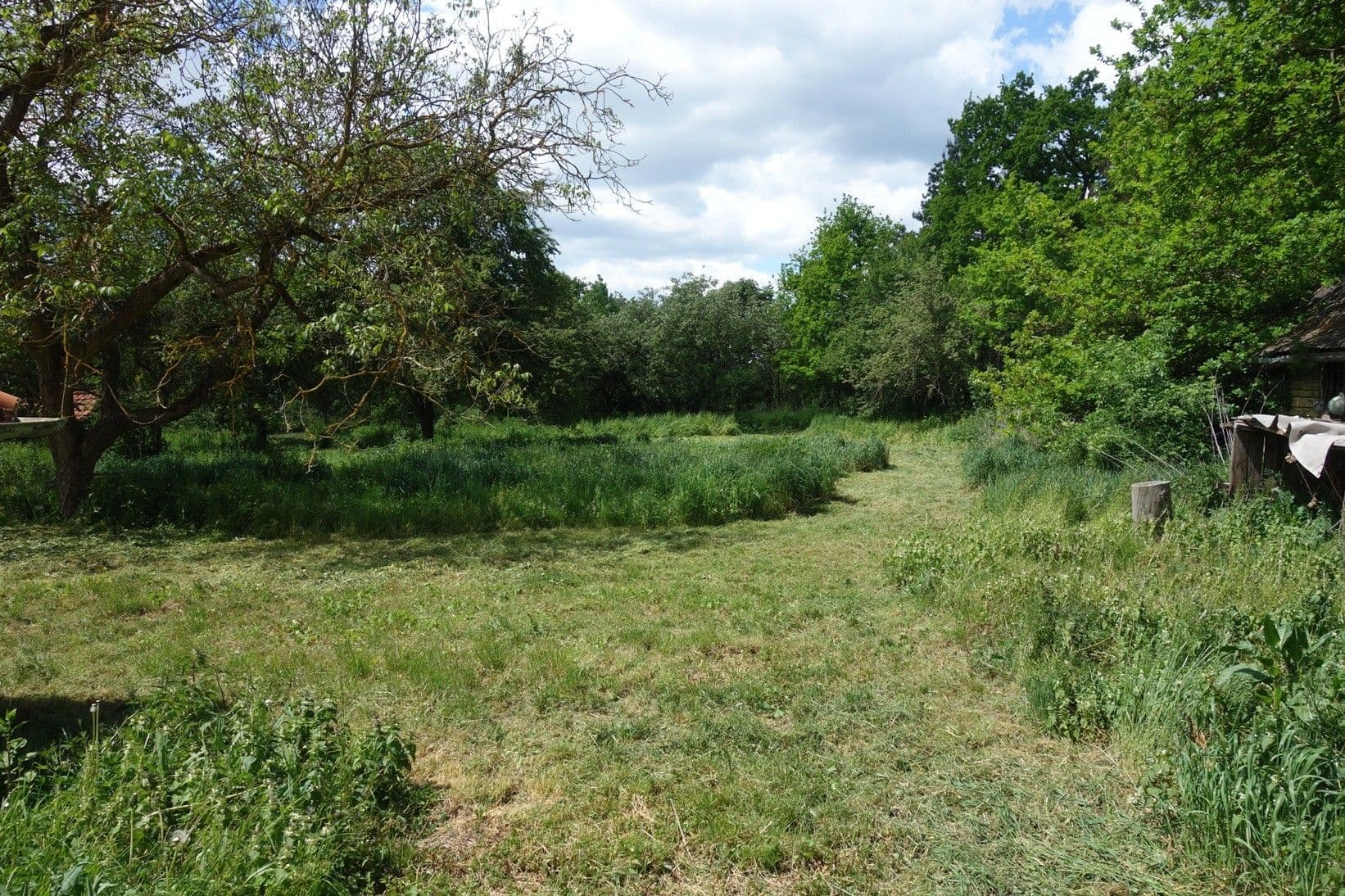 Predaj domu 80 m², pozemek 3.236 m², Hájovna, Chotěšov, Plzeňský kraj Predaj domu 80 m², pozemek 3.236 m², Hájovna, Chotěšov, Plzeňský kraj