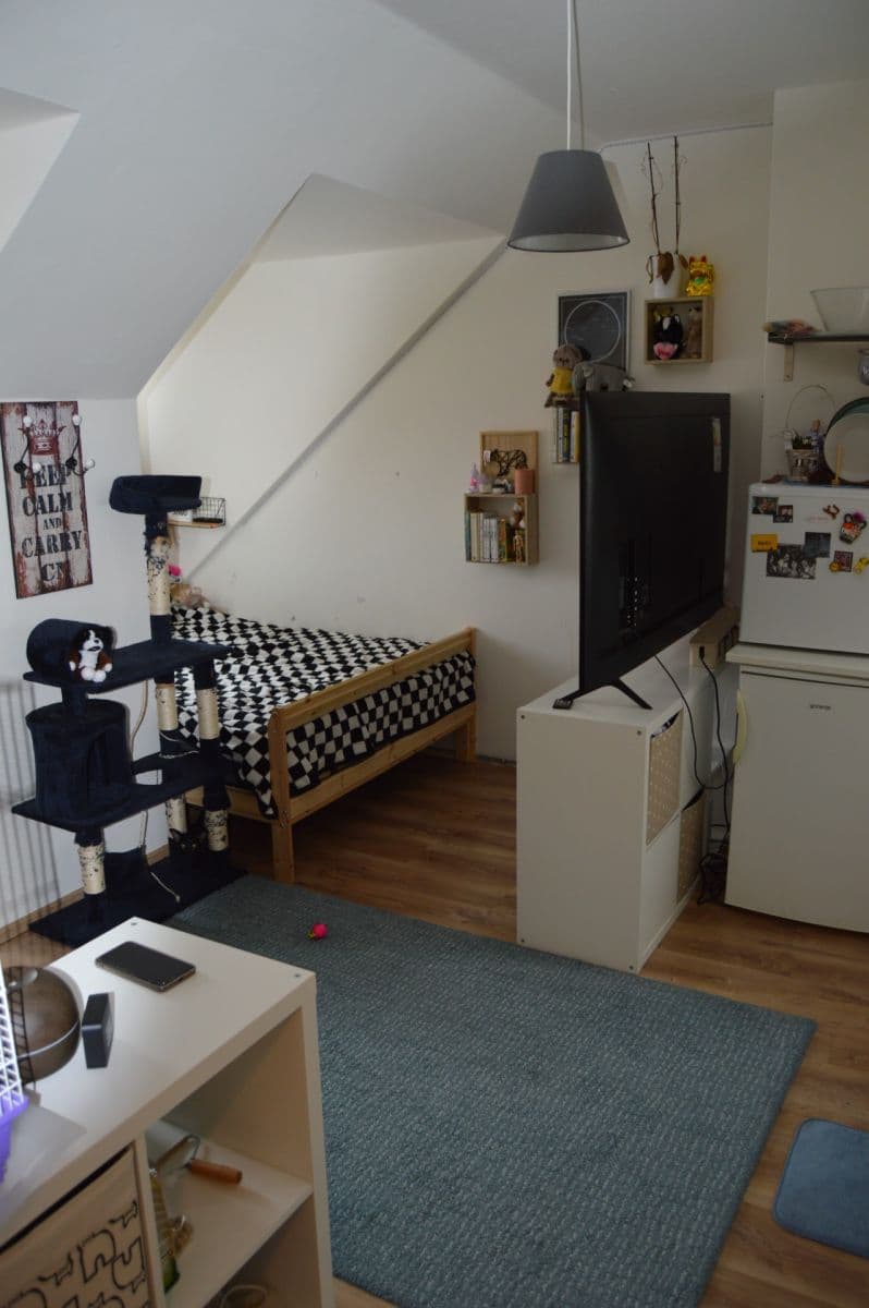 Prenájom bytu 1-izbový 27 m², Újezd, Praha, Praha Prenájom bytu 1-izbový 27 m², Újezd, Praha, Praha