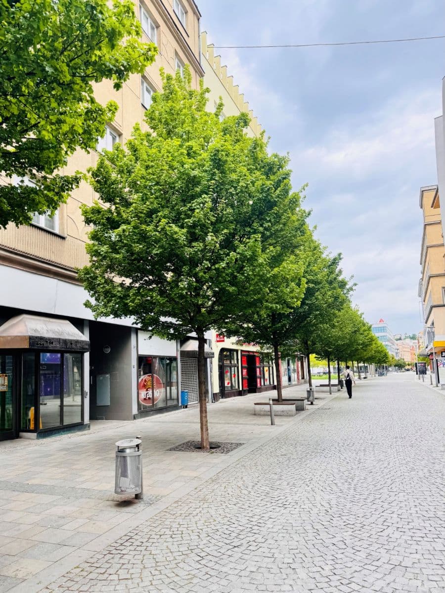 Prenájom bytu 3-izbový 82 m², 28. října, Ostrava, Moravskoslezský kraj Prenájom bytu 3-izbový 82 m², 28. října, Ostrava, Moravskoslezský kraj