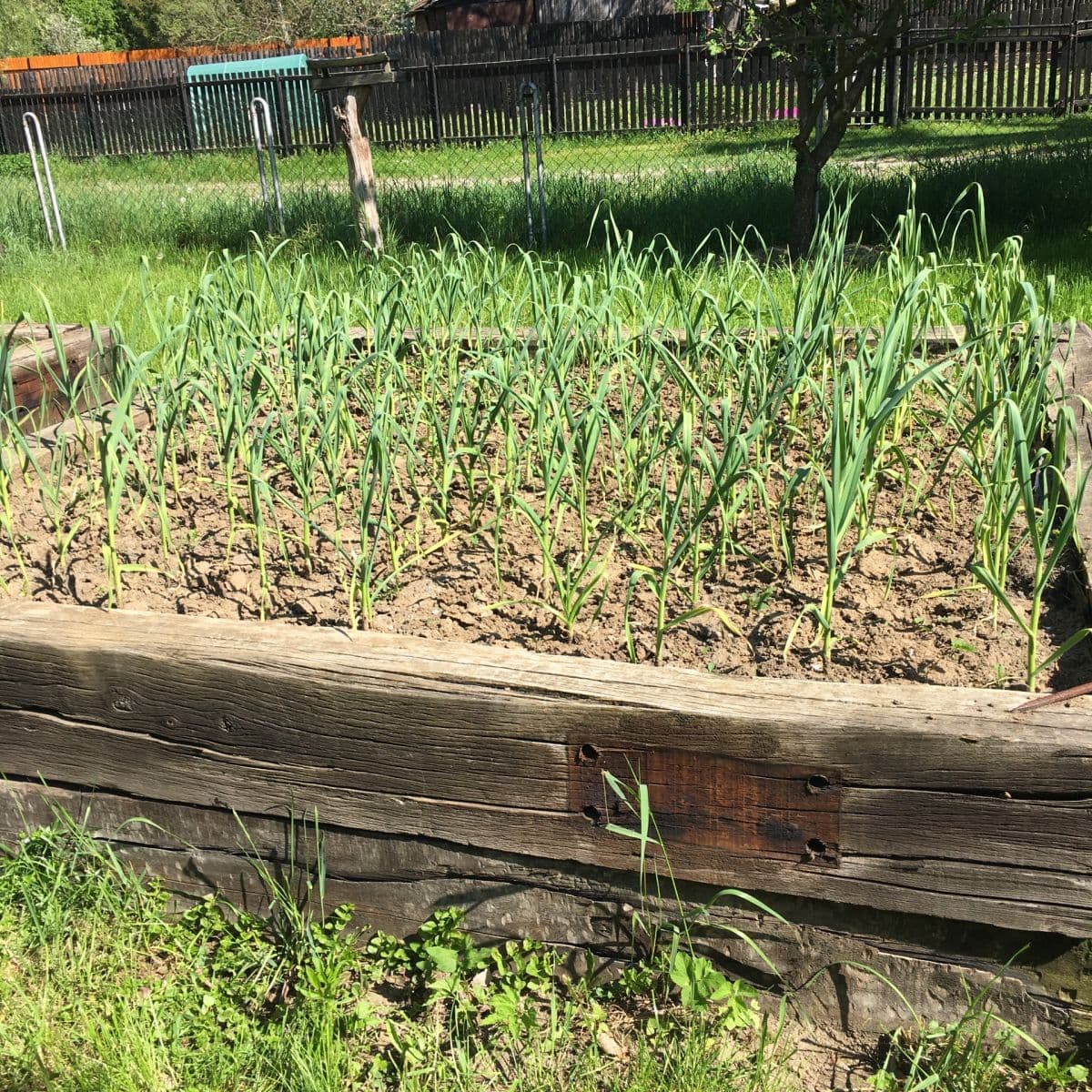 Predaj rekreačného objektu 853 m², pozemek 853 m², Nová Lhota, Jihomoravský kraj Predaj rekreačného objektu 853 m², pozemek 853 m², Nová Lhota, Jihomoravský kraj