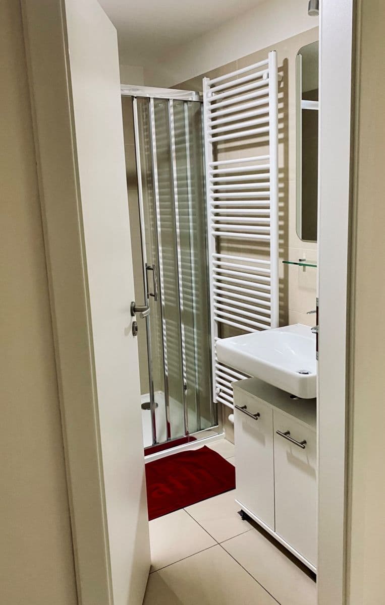 Prenájom bytu 1-izbový 32 m², Přadlácká, Brno, Jihomoravský kraj Prenájom bytu 1-izbový 32 m², Přadlácká, Brno, Jihomoravský kraj