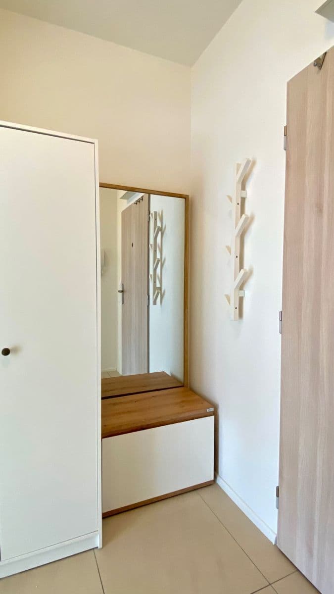 Prenájom bytu 1-izbový 32 m², Přadlácká, Brno, Jihomoravský kraj Prenájom bytu 1-izbový 32 m², Přadlácká, Brno, Jihomoravský kraj