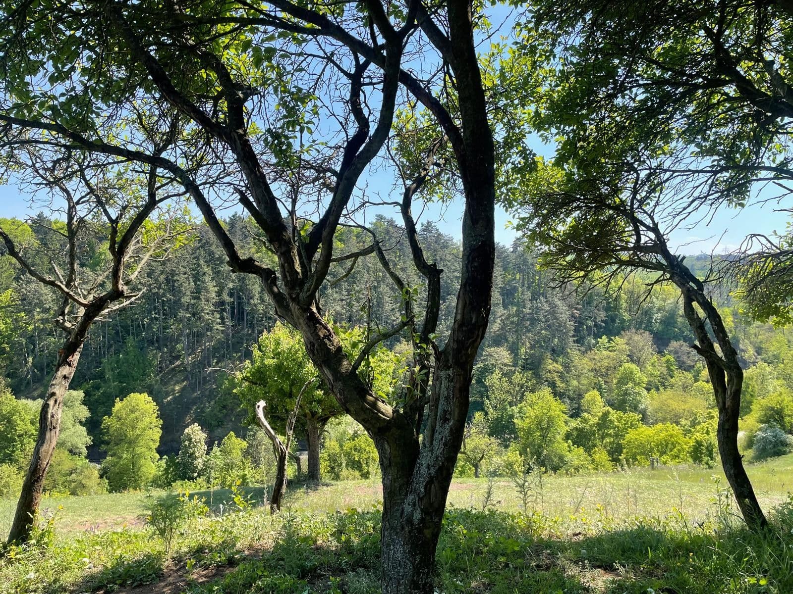 Predaj pozemku 650 m², Liščí, Praha, Praha Predaj pozemku 650 m², Liščí, Praha, Praha