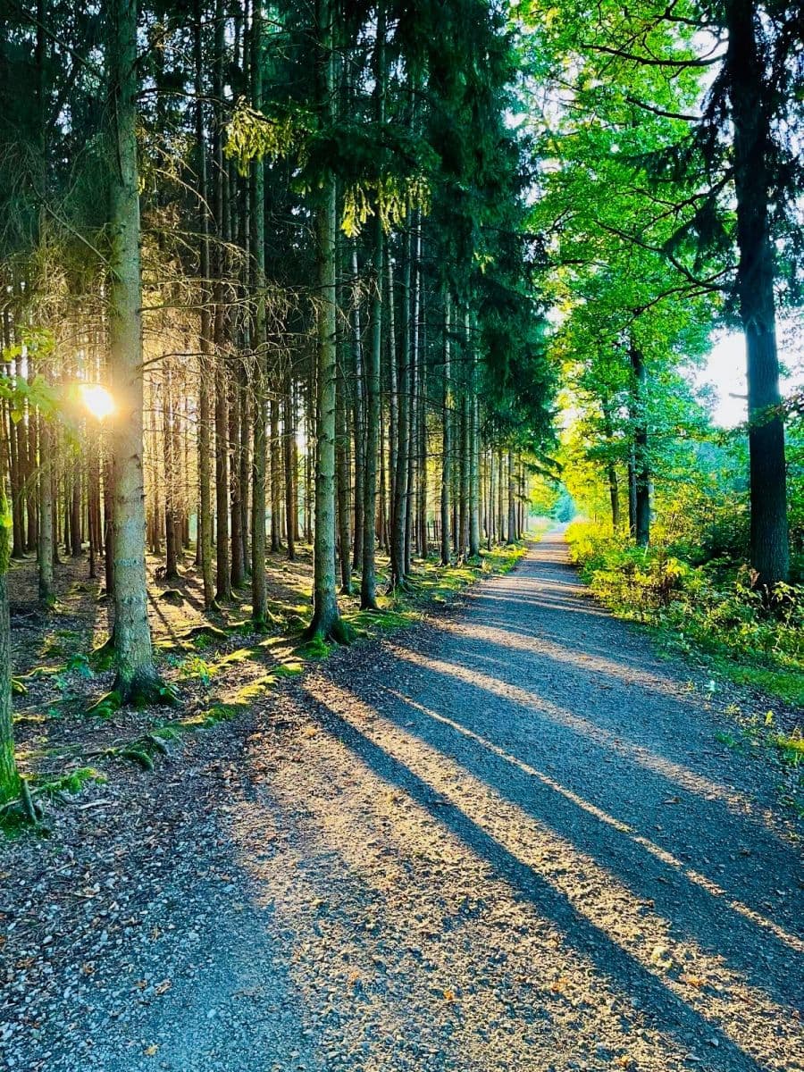 Predaj bytu 4-izbový 185 m², Ant. Barcala, České Budějovice, Jihočeský kraj Predaj bytu 4-izbový 185 m², Ant. Barcala, České Budějovice, Jihočeský kraj