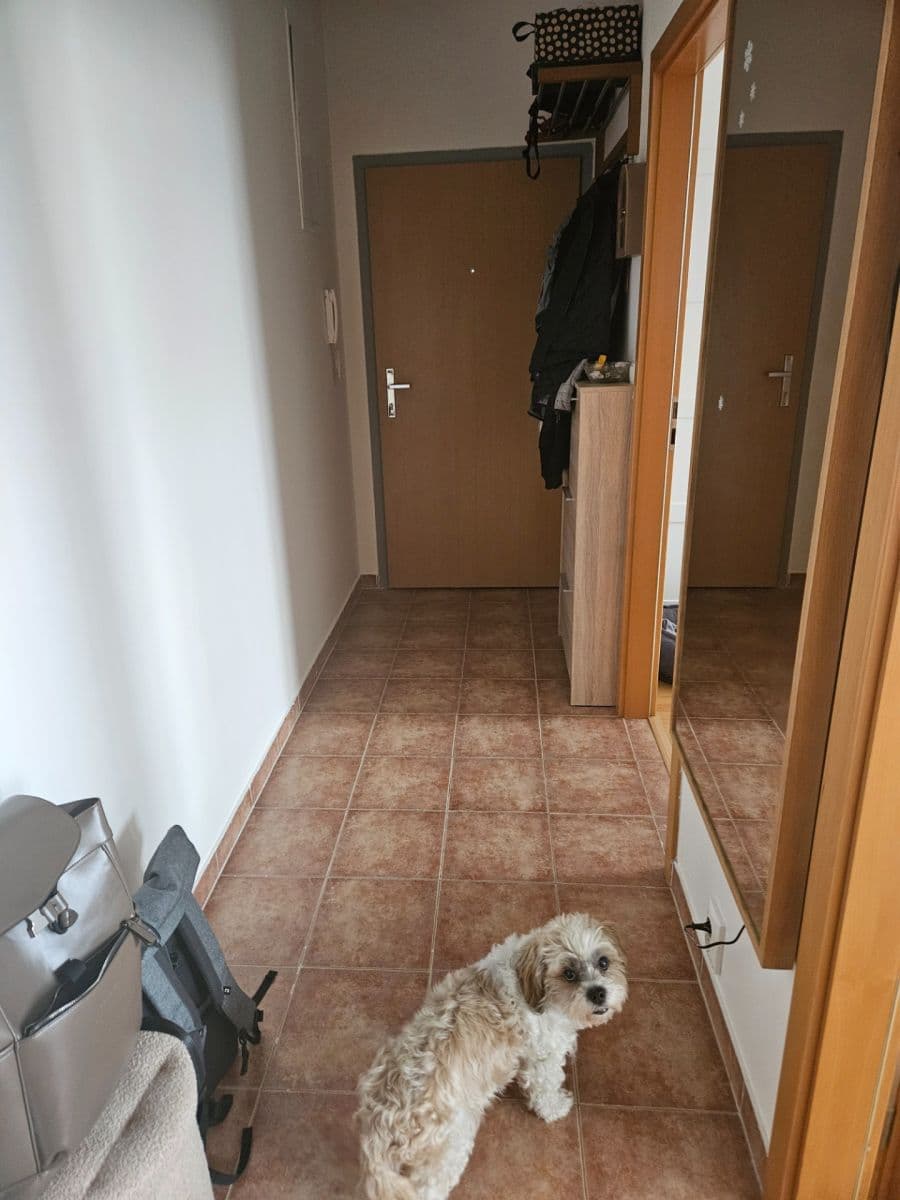 Prenájom bytu 2-izbový 50 m², Tupolevova, Praha, Praha Prenájom bytu 2-izbový 50 m², Tupolevova, Praha, Praha