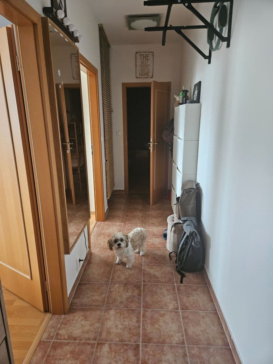 Prenájom bytu 2-izbový 50 m², Tupolevova, Praha, Praha Prenájom bytu 2-izbový 50 m², Tupolevova, Praha, Praha