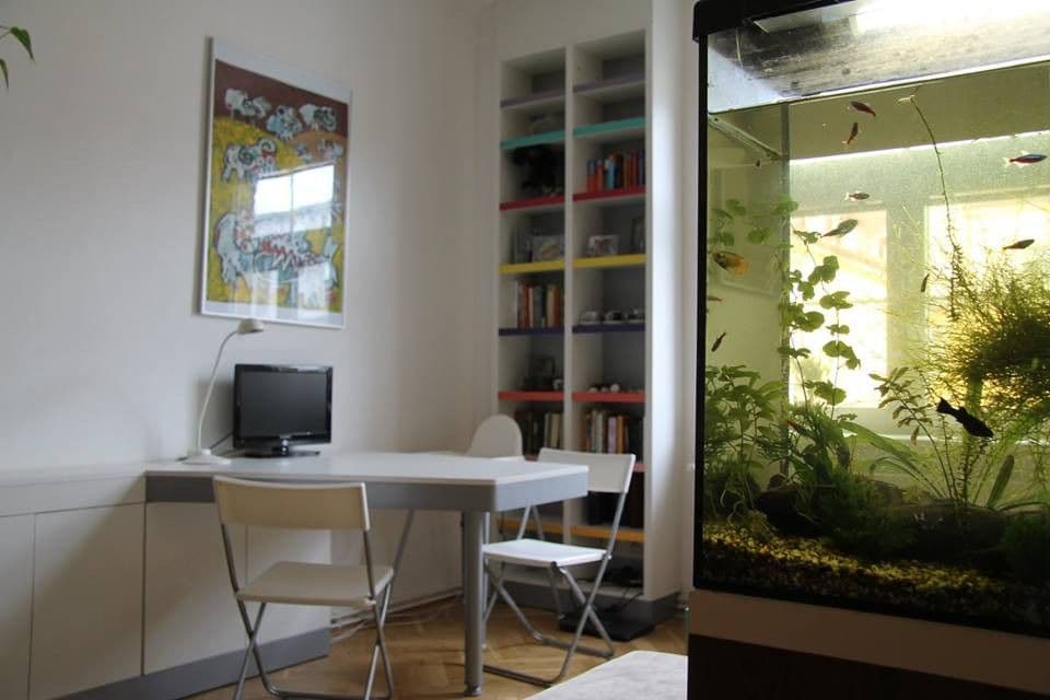 Prenájom bytu 2-izbový 42 m², Buchovcova, Praha, Praha Prenájom bytu 2-izbový 42 m², Buchovcova, Praha, Praha