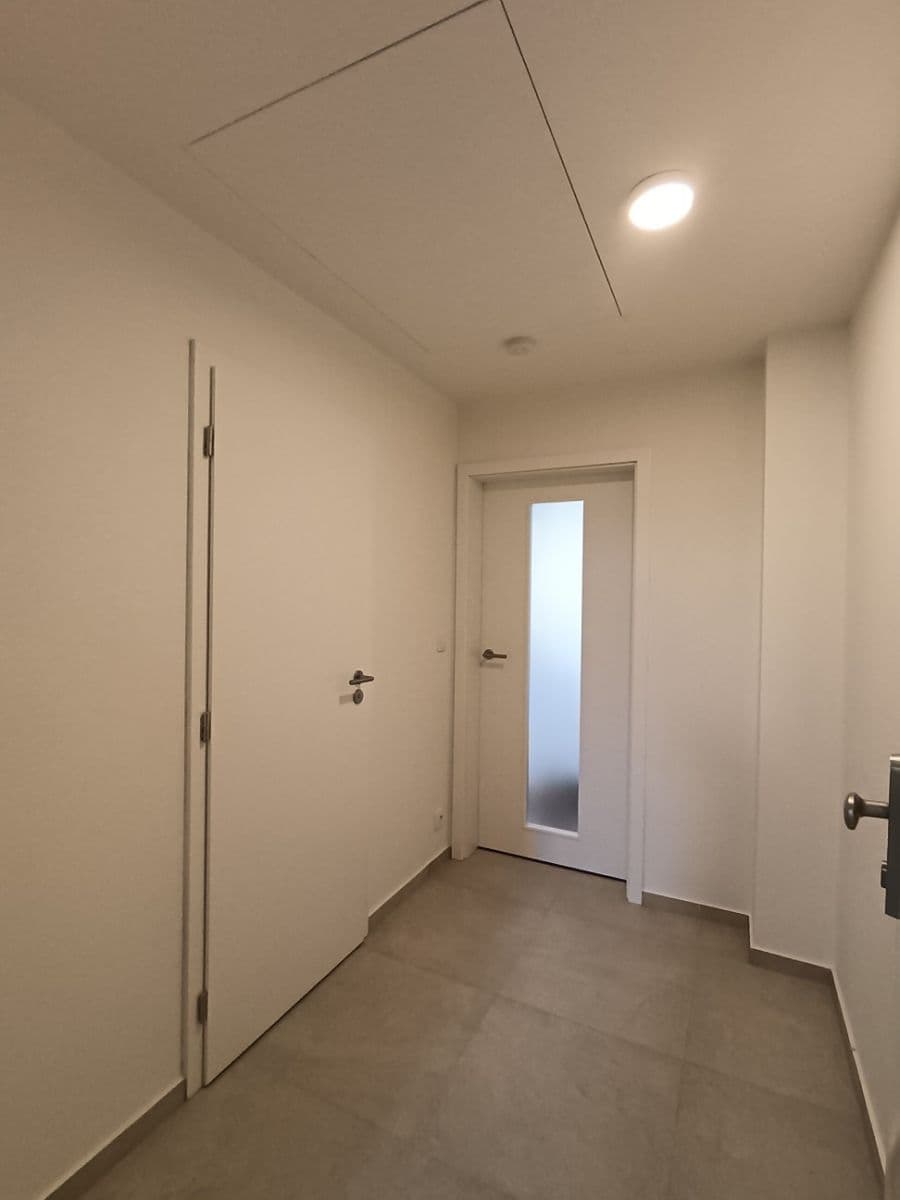 Prenájom bytu 1-izbový 26 m², Křenová, Brno, Jihomoravský kraj Prenájom bytu 1-izbový 26 m², Křenová, Brno, Jihomoravský kraj