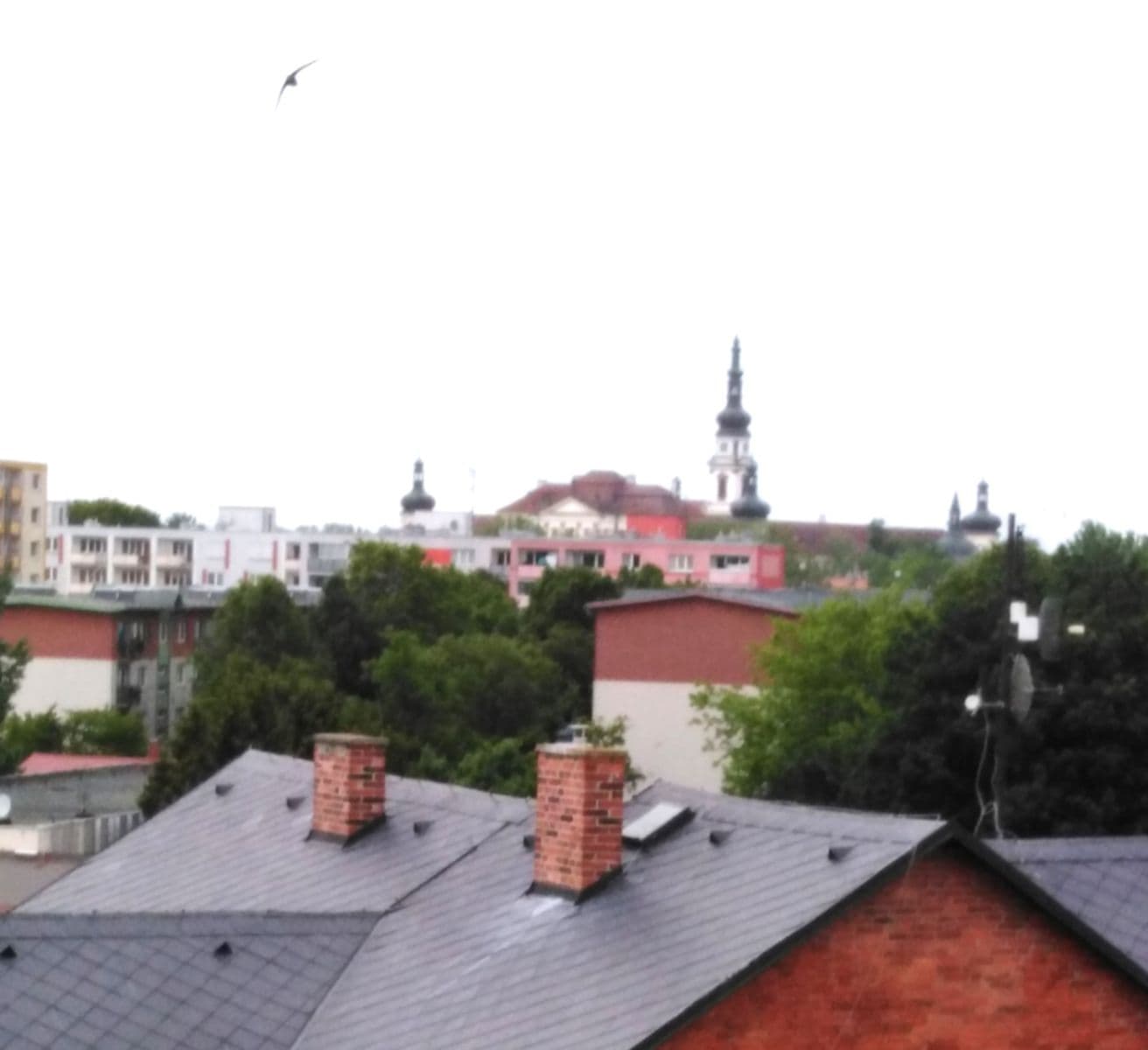 Prenájom bytu 3-izbový 68 m², Kaštanová, Olomouc, Olomoucký kraj Prenájom bytu 3-izbový 68 m², Kaštanová, Olomouc, Olomoucký kraj