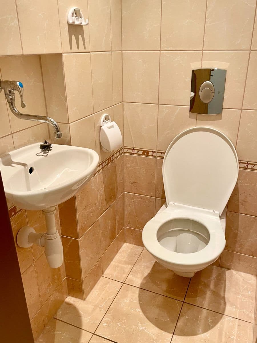 Prenájom bytu 2-izbový 45 m², Svatoplukova, Liberec, Liberecký kraj Prenájom bytu 2-izbový 45 m², Svatoplukova, Liberec, Liberecký kraj