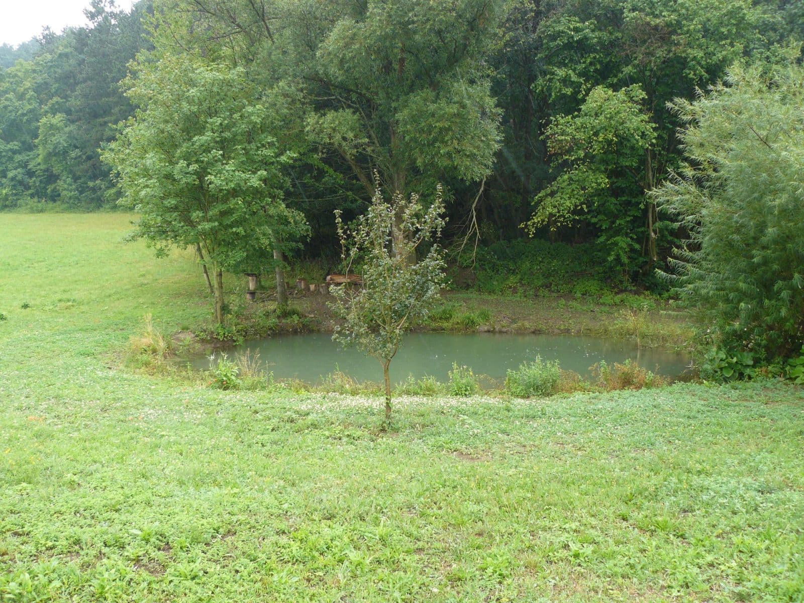 Predaj pozemku 13.139 m², Lubina, Trenčiansky kraj Predaj pozemku 13.139 m², Lubina, Trenčiansky kraj