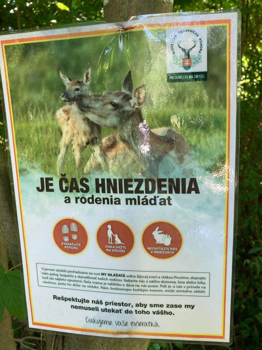 Predaj pozemku 13.139 m², Lubina, Trenčiansky kraj Predaj pozemku 13.139 m², Lubina, Trenčiansky kraj