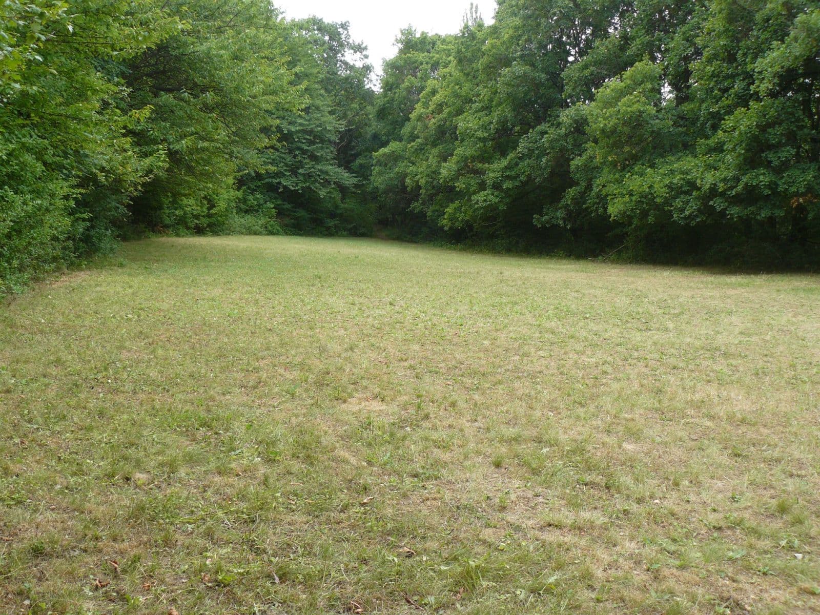 Predaj pozemku 13.139 m², Lubina, Trenčiansky kraj Predaj pozemku 13.139 m², Lubina, Trenčiansky kraj