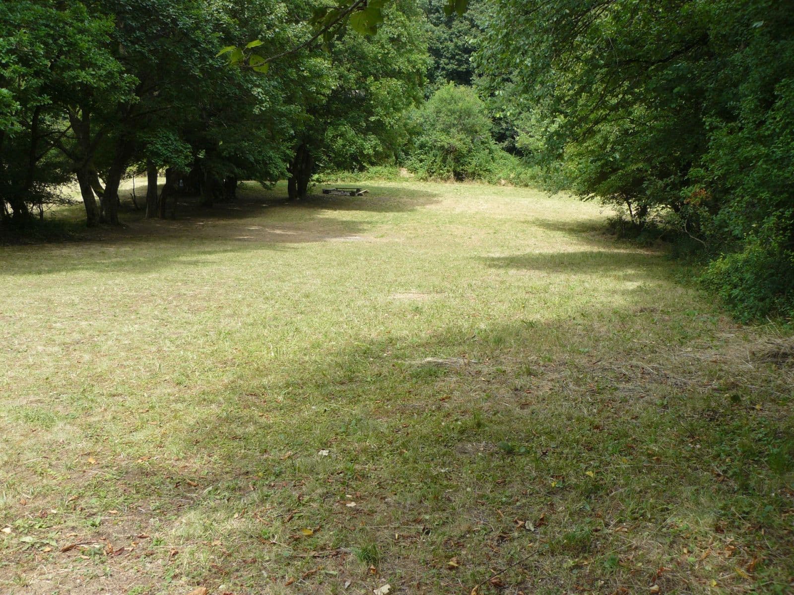 Predaj pozemku 13.139 m², Lubina, Trenčiansky kraj Predaj pozemku 13.139 m², Lubina, Trenčiansky kraj