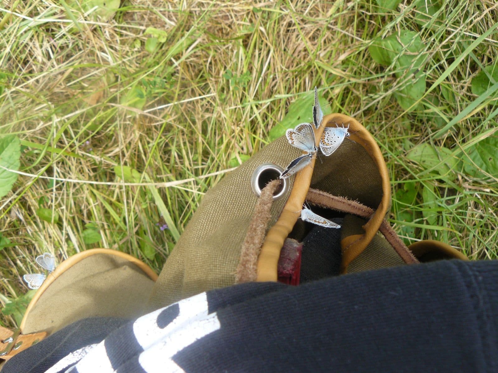 Predaj pozemku 13.139 m², Lubina, Trenčiansky kraj Predaj pozemku 13.139 m², Lubina, Trenčiansky kraj