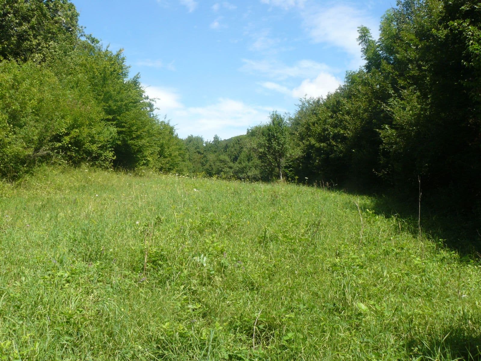 Predaj pozemku 13.139 m², Lubina, Trenčiansky kraj Predaj pozemku 13.139 m², Lubina, Trenčiansky kraj