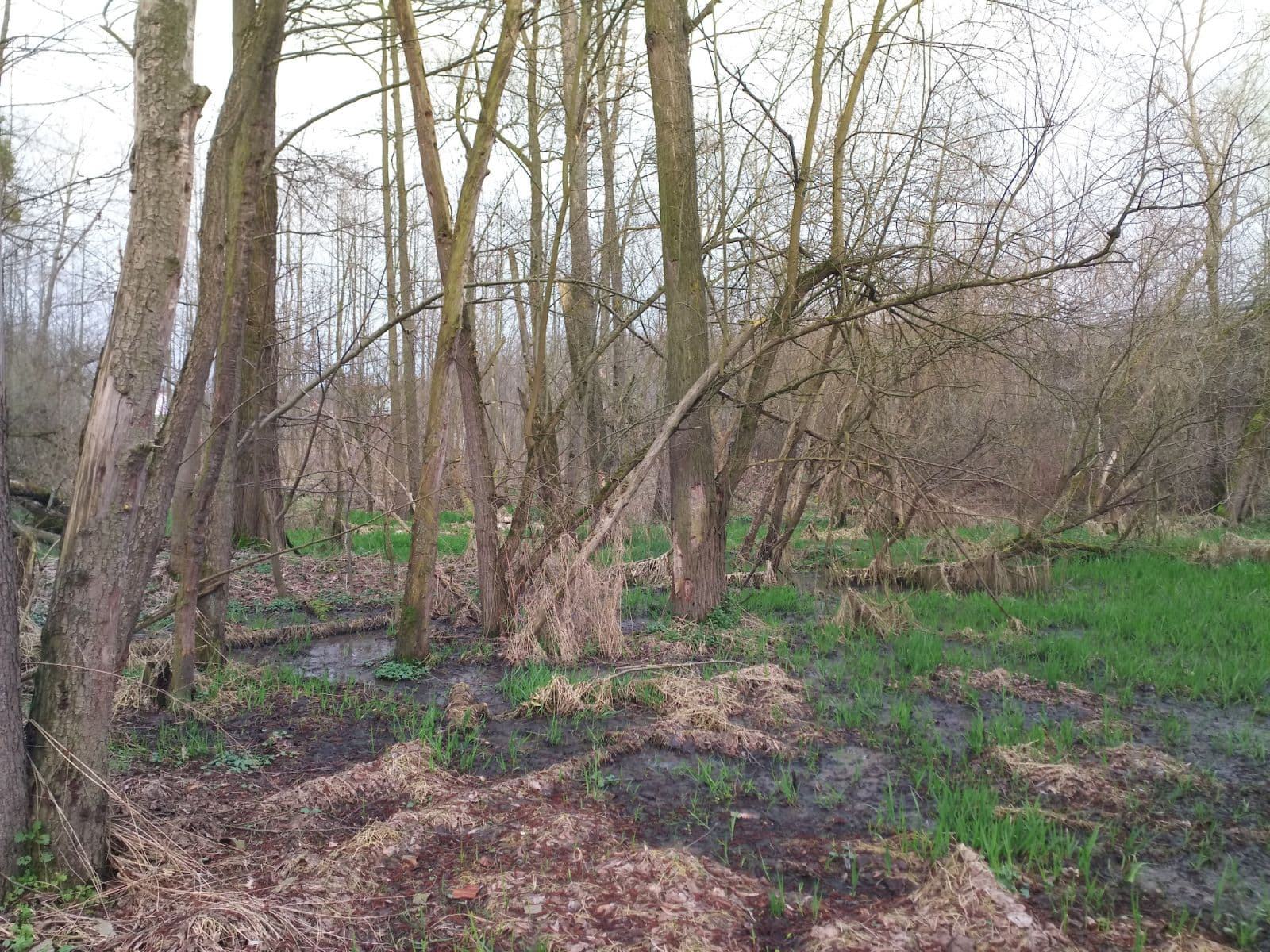 Predaj pozemku 2.638 m², Klimkovice, Moravskoslezský kraj Predaj pozemku 2.638 m², Klimkovice, Moravskoslezský kraj