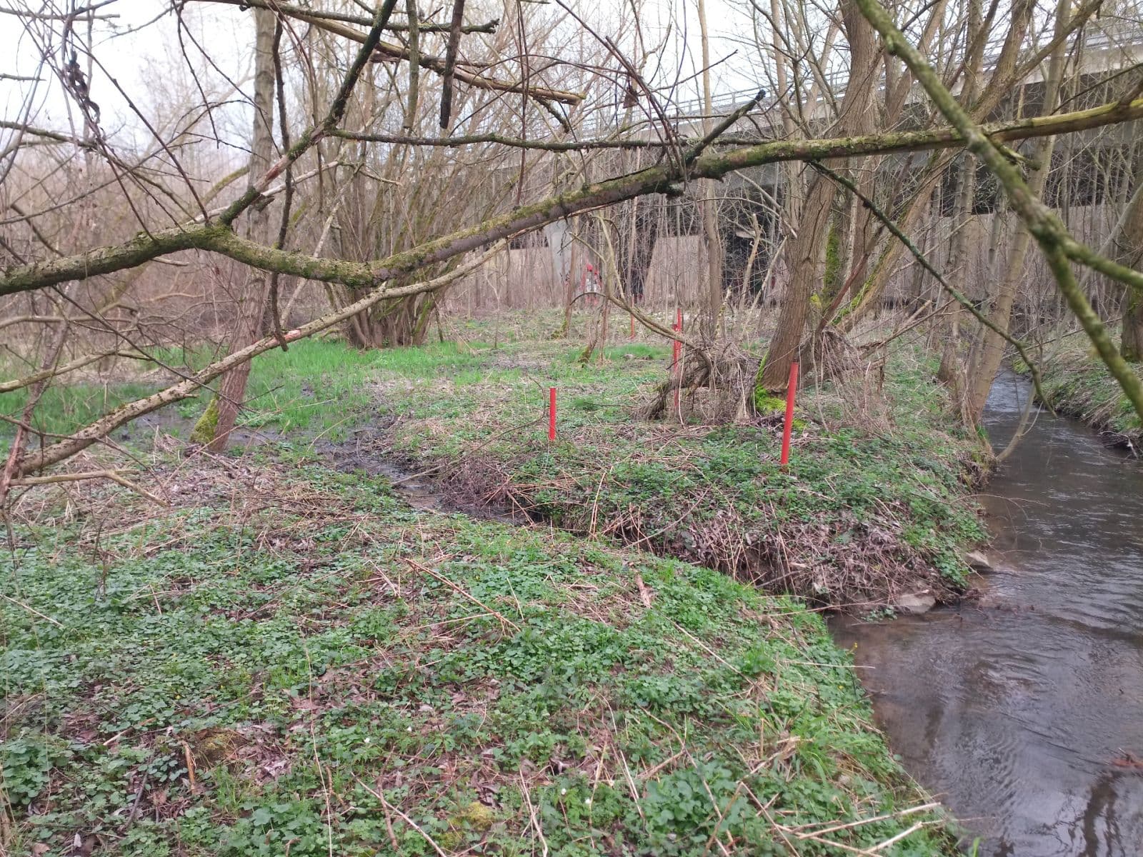 Predaj pozemku 2.638 m², Klimkovice, Moravskoslezský kraj Predaj pozemku 2.638 m², Klimkovice, Moravskoslezský kraj