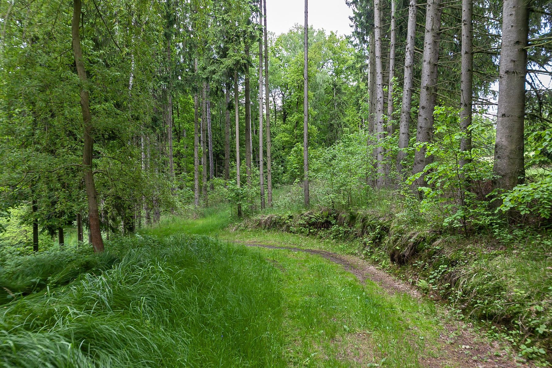 Predaj pozemku 14.573 m², Předlánce, Višňová, Liberecký kraj Predaj pozemku 14.573 m², Předlánce, Višňová, Liberecký kraj