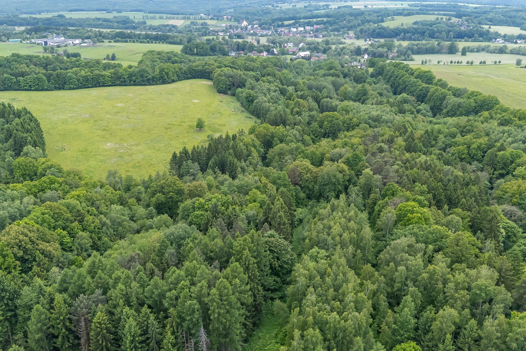 Predaj pozemku 14.573 m², Předlánce, Višňová, Liberecký kraj Predaj pozemku 14.573 m², Předlánce, Višňová, Liberecký kraj